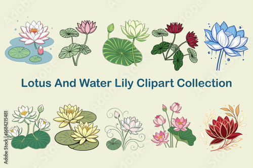 Various water lily and lotus blooms are presented as a botanical set