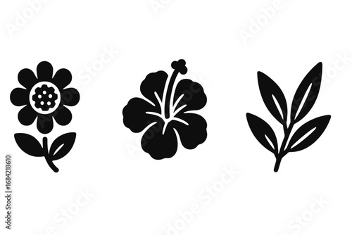 Traditional herbal tea icons set with solid and filled vector illustrations featuring chamomile flower, hibiscus bloom, rooibos leaf, natural botanical elements in cartoon style