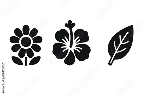 Traditional Herbal Tea Icons Set, Solid Filled Vector Illustrations of Chamomile Flower, Hibiscus Bloom, Rooibos Leaf, Natural Plant Elements, Tea Leaves and Botanical Designs