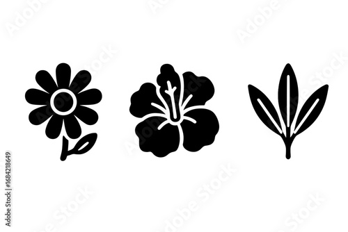 Traditional Herbal Tea Icons Set with Chamomile Flower, Hibiscus Bloom, Rooibos Leaf, Solid Filled Vector Symbols for Natural Tea Ingredients, Organic Health Drink Illustration