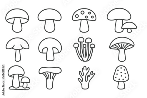 Mushroom fungus line icon set. Fungi collection. Champignon, chanterelle, enoki, amanita. Simple outline symbols. Forest autumn food ingredient for cooking. Edible and poisonous.