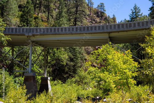 Bridge in the Sedona forest