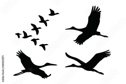 Set of migratory bird silhouettes. Flying flock of geese in V-formation and crane or stork birds in flight. Vector icon collection of wildlife, freedom, and nature concept.