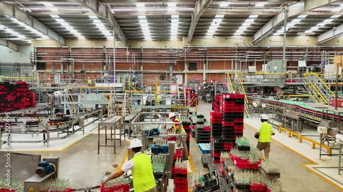 producción y distribución en planta de bebidas