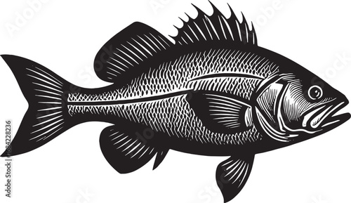 Detailed Illustration of a Black and White Fish with Scales and Fins Artistic Design of Aquatic Animal