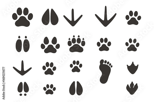 Vector collection of animal tracks. Paw prints of dog, cat, bear, wolf. Hoof prints of deer and pig. Bird and human footprints. Black silhouette icon set for wildlife design.
