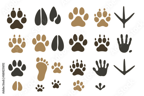 Vector collection of animal tracks. Set of footprints, paw prints, and hoof prints from wild forest animals like bear, wolf, deer, and fox. Wildlife trail icon set.