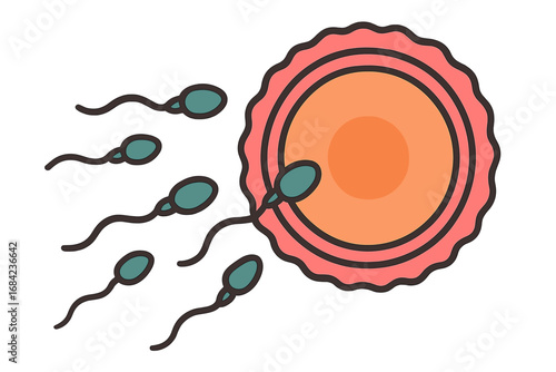 Fertilization process concept. Sperm cells swimming to the egg. Human reproduction and insemination. Pregnancy and conception icon. Medical biology anatomy vector illustration.