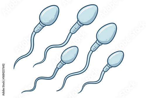 Sperm cells vector illustration. Scientific concept of human reproduction and fertility. Anatomy of male gametes, spermatozoa for fertilization, conception and pregnancy.