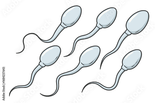 Sperm cells vector illustration. Cartoon spermatozoa for reproductive biology, anatomy. Male fertility, fertilization concept. Medical, science icon. Semen, gamete, human sperm.