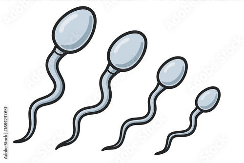 Sperm cells scientific illustration. Reproductive biology and anatomy concept. Vector cartoon of spermatozoa for fertility, conception, pregnancy, male health and infertility.