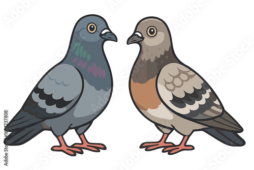 Pair of cartoon pigeons vector illustration. Two cute city birds, rock doves, standing together. Animal couple concept, love, urban wildlife, nature, peace, communication.