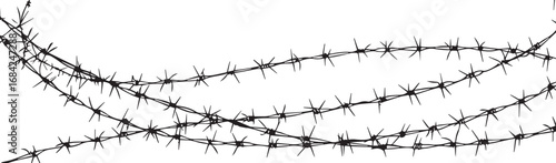 A vector silhouette of a barbed wire fence with sharp barbs and a metal coil represents a barrier of protection and a symbol of security, isolated against the sky