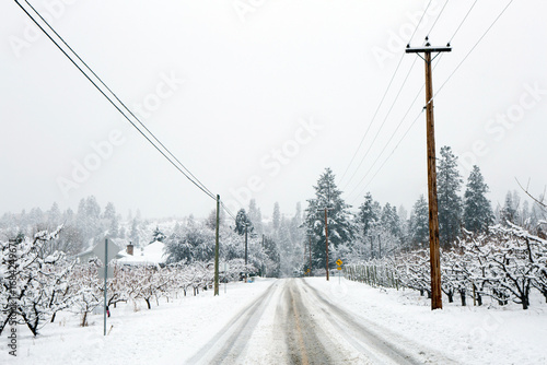 Winter wonderland in an organic gala apple orchard in the Okanagan Valley, Canada