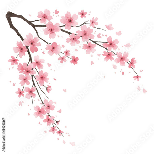 Delicate pink cherry blossoms branch falling petals beautiful spring nature floral design transparent background