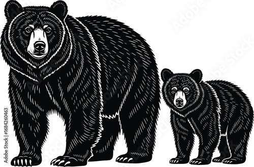 Vector Illustration of Mother Bear and Baby Cub Standing Together in Wilderness Style Isolated on White Background for Wildlife Art