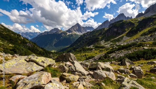 Alpine valley panorama (1)