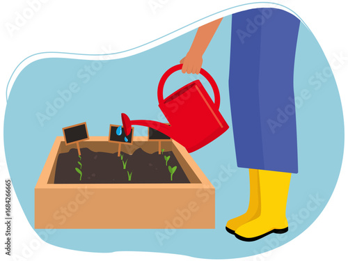 Farmer watering the seedling box and taking care of the plants. Gardening illustration. Flat vector illustration concept.