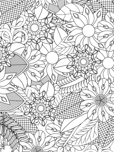 Vector illustration flowers coloring pages 