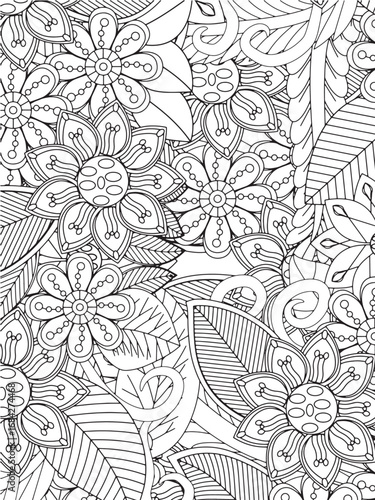 Doodle botanical vector coloring pages for adults and kids and kdp 
