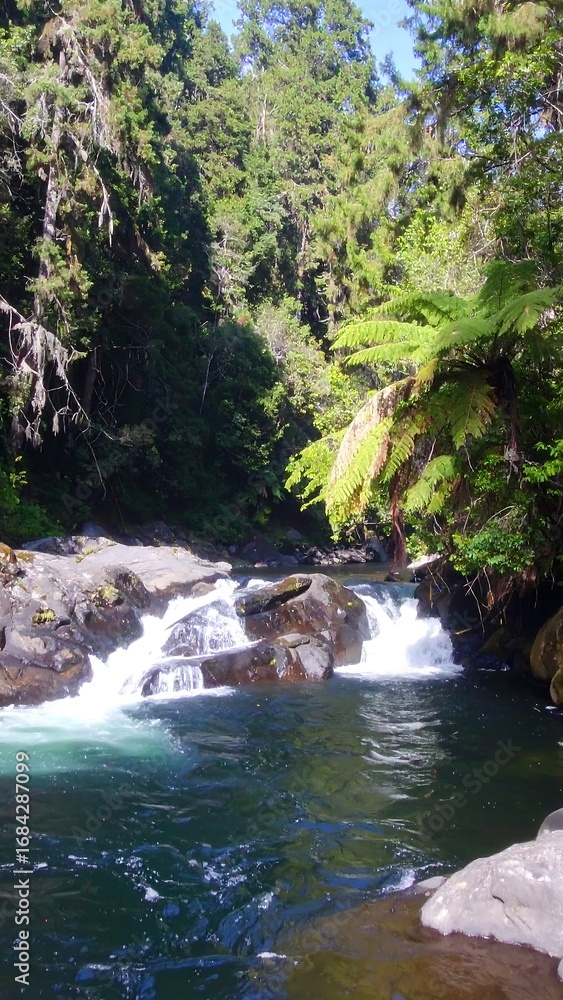 Fototapeta premium Forest Creek Waterfall View