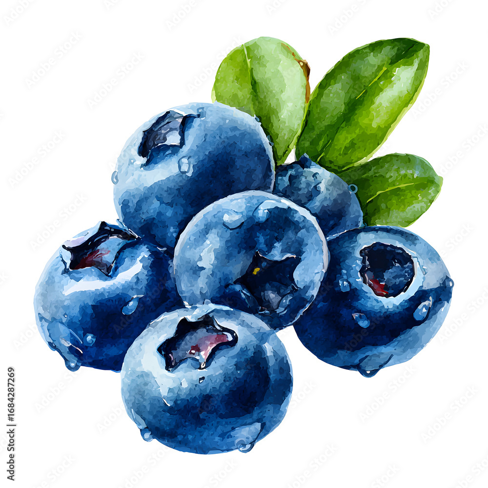 Obraz premium Watercolor blueberries with leaves on a black background detailed illustration