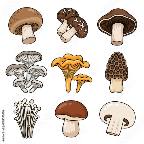 Mushroom Set Culinary Variety Cartoon style.