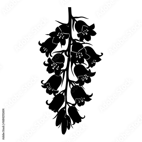 Bellflower silhouette isolated on white background