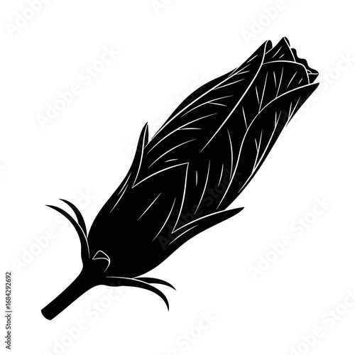 Hibiscus flower bud silhouette isolated on white background