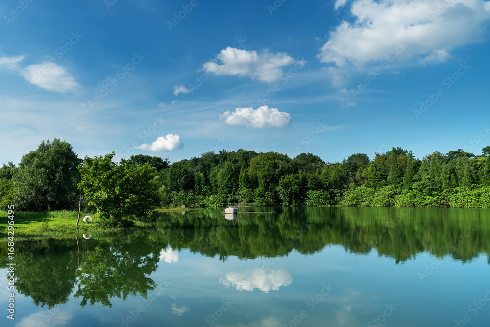 Fototapeta premium Lush greener around the pond in the park