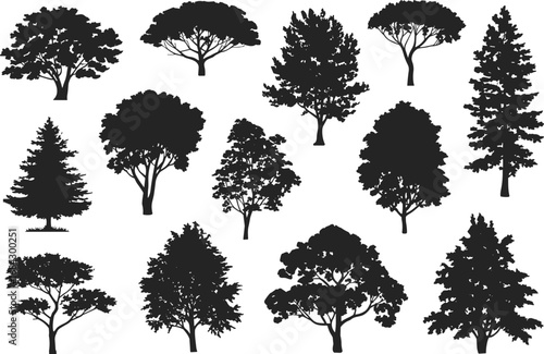 Tree silhouettes collection, diverse foliage shapes, natural forms, botanical variety, landscape design elements, forest icons, isolated black tree graphics
