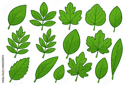 Collection of various green leaves. Vector cartoon illustration set. Different types of plant and tree leaf icons. Natural, organic, eco, and foliage design elements isolated.