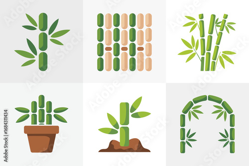 Bamboo plant vector illustrations, green bamboo stalks leaves potted arrangements, garden decoration elements, Asian nature graphics collection