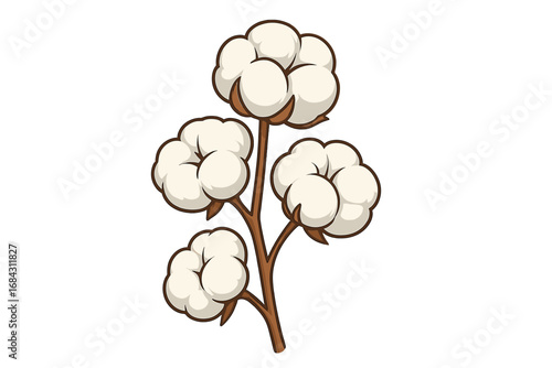 Cotton plant branch with soft bolls. Vector cartoon illustration for natural organic textile, fabric. Botanical concept of raw agriculture cottonball harvest. Isolated design element.