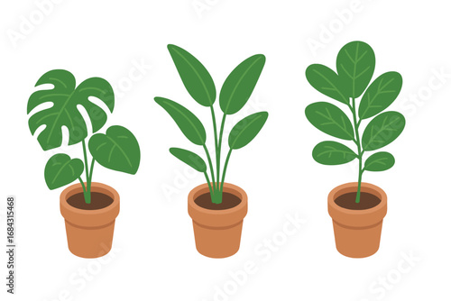 Isometric indoor plant icon set with potted houseplants. Vector cartoon illustration of tropical greenery like monstera deliciosa, bird of paradise, and fiddle leaf fig.