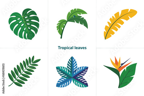 Exotic palm and fern leaf icons, monstera philodendron banana frond variations, lush tropical foliage pack, decorative botanical elements for design