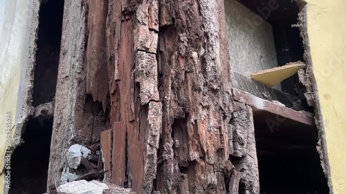 wooden pole of house were eaten by termites
