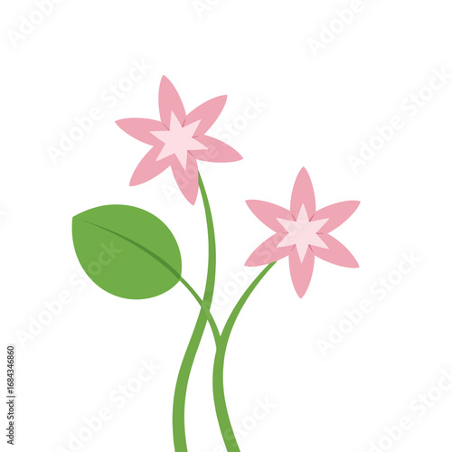 Vector art of two delicate pink starshaped flowers with green stems and a single green leaf, isolated on a