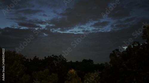 thunder storm over tree in dark night