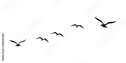 Silhouettes of seagulls flying in formation against a black sky