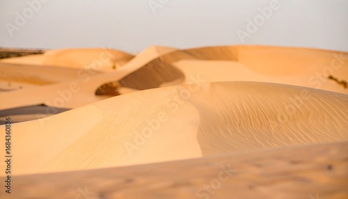 Fototapeta Naklejka Na Ścianę i Meble -  Golden Sand Dunes Desert Landscape