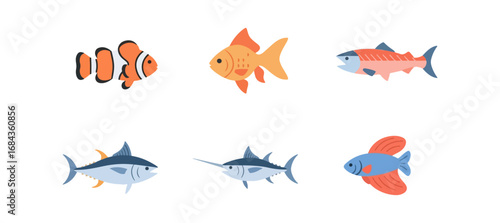 Variety of colorful fish illustration