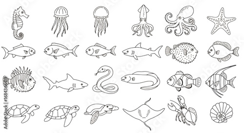 A charming collection of hand-drawn outline vector illustrations showcasing various marine animals and a snake, ideal for educational or design projects.