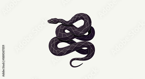 Detailed vector illustration of a coiled snake, showcasing intricate patterns and textures on a clean background, ideal for graphic design and educational purposes.