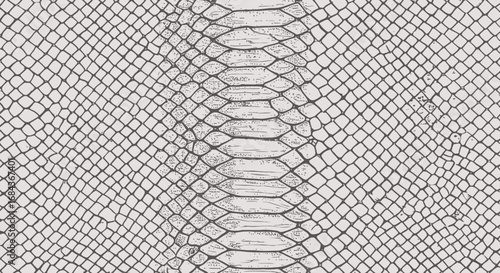 A detailed close-up illustration showcasing the intricate, natural texture of a white python or boa constrictor's scaly skin, perfect for design backgrounds.