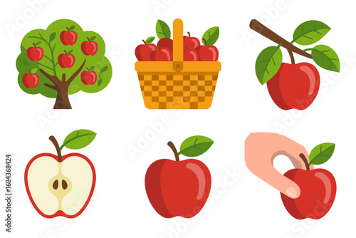 Apple orchard collection, fruit tree and basket, apple branch with leaves, whole and half apple, hand picking fruit, farm market vector illustration, fresh produce clipart, white background