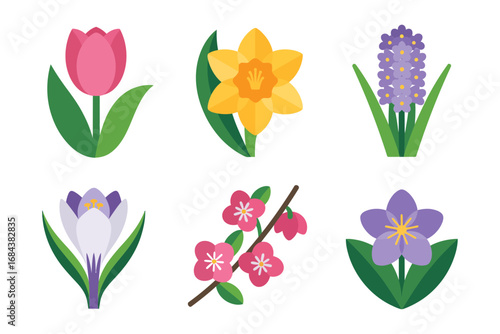 Spring flower illustration, tulip daffodil crocus hyacinth blossom, seasonal botanical vector design set