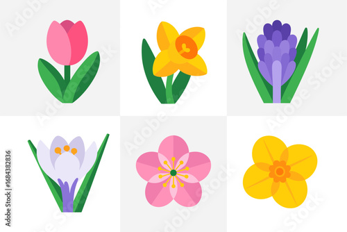 Colorful flower illustration, tulip crocus daffodil spring bloom, seasonal floral botanical vector elements