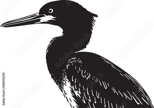 Monochrome Cormorant Illustration with Detailed Feathers and Striking Profile on a White Background