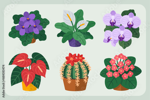 Vibrant cactus and tropical flowers, houseplant vector set, exotic foliage illustration, natural indoor garden style, colorful decorative plants, floral inspiration for design